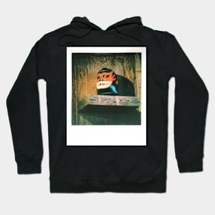 Mil Mascaras Mask Polaroid Hoodie